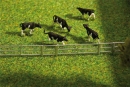Fence System for Stalls and Open Stable Farm  - Faller 272408
