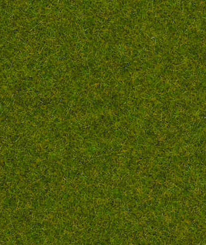 ORNAMENTAL LAWN SCATTER GRASS 1.5MM (20G) – Noch 08214